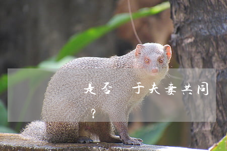 賭債是否屬于夫妻共同債務(wù)？